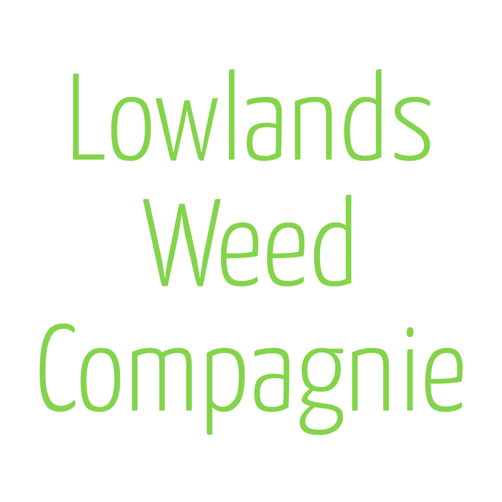 LWC